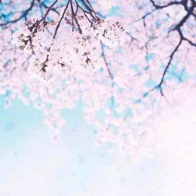九幽仙域折扣平台下载