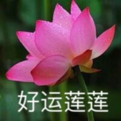 顺网修天诀下载